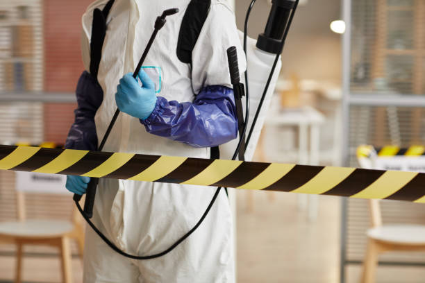 Professional Hoarding Cleanup technician working in Canehill, AR